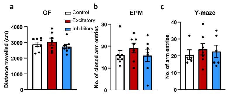 https://cdn.ncbi.nlm.nih.gov/pmc/blobs/dc7c/11050709/53263e21b714/ijms-25-04315-g004.jpg