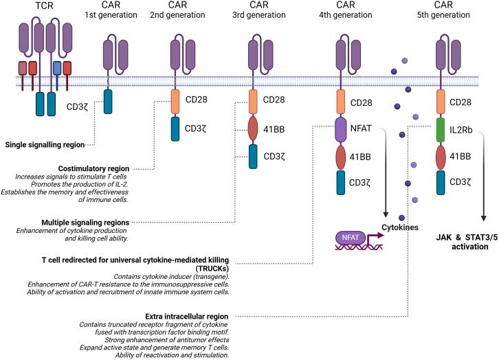 https://cdn.ncbi.nlm.nih.gov/pmc/blobs/dc7d/12033950/293d9719fca5/gr3.jpg