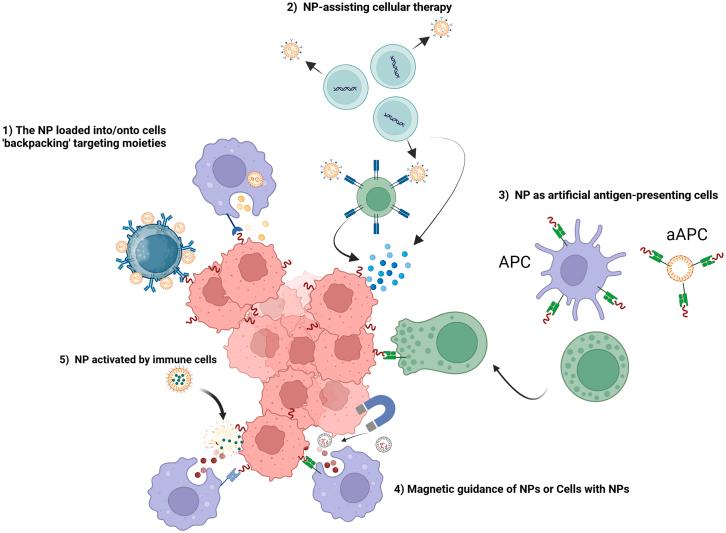 https://cdn.ncbi.nlm.nih.gov/pmc/blobs/dc7d/12033950/2ffed8670b3f/gr7.jpg