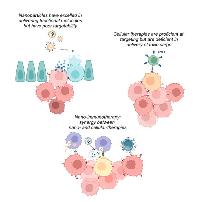https://cdn.ncbi.nlm.nih.gov/pmc/blobs/dc7d/12033950/6dac4967652a/fx1.jpg