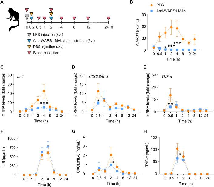 https://cdn.ncbi.nlm.nih.gov/pmc/blobs/dc81/10883277/02583894a528/44321_2023_4_Fig5_HTML.jpg