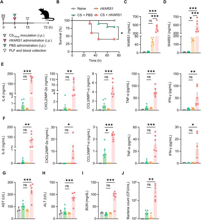 https://cdn.ncbi.nlm.nih.gov/pmc/blobs/dc81/10883277/3ba66c355026/44321_2023_4_Fig4_HTML.jpg