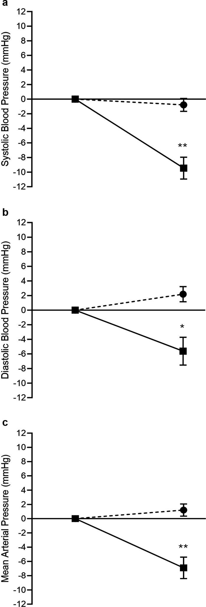 https://cdn.ncbi.nlm.nih.gov/pmc/blobs/dc83/12182114/09f7b7c3494a/bmjsem-11-2-g001.jpg