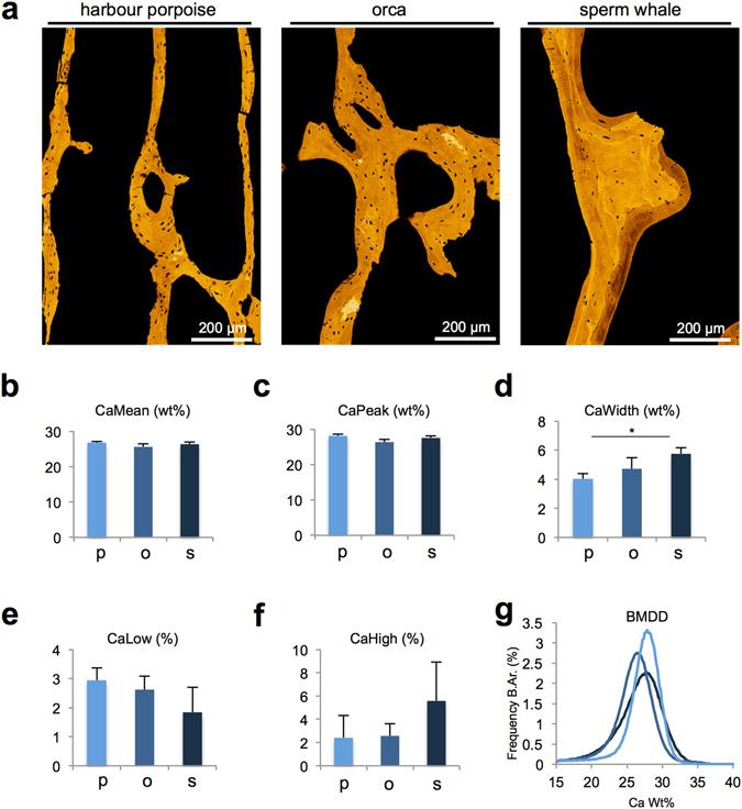 https://cdn.ncbi.nlm.nih.gov/pmc/blobs/dc85/5431672/704a431c2e2e/41598_2017_1926_Fig4_HTML.jpg
