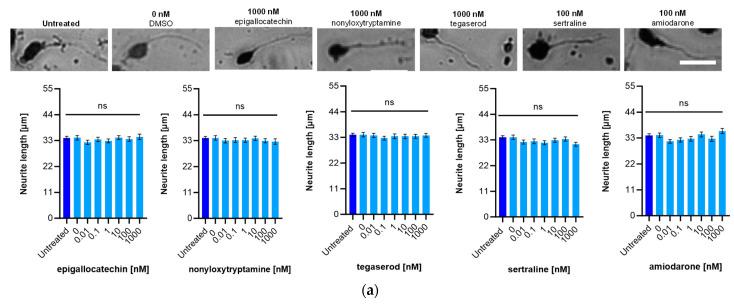 https://cdn.ncbi.nlm.nih.gov/pmc/blobs/dc86/10532424/7ab6a53de199/ijms-24-14271-g004a.jpg