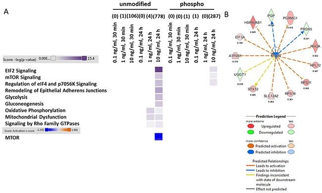 https://cdn.ncbi.nlm.nih.gov/pmc/blobs/dc8a/5601134/f3c2b9fdf2c9/oncotarget-08-60223-g002.jpg