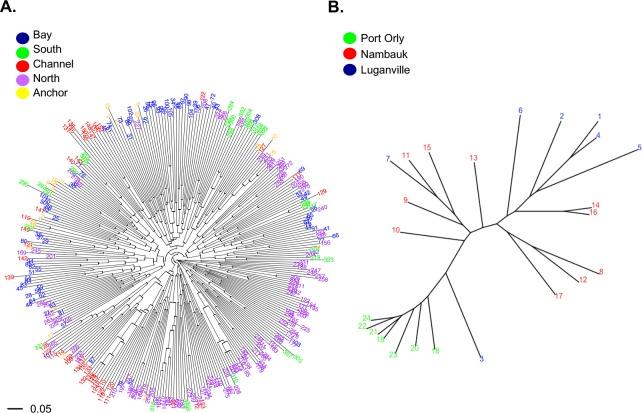 https://cdn.ncbi.nlm.nih.gov/pmc/blobs/dc8a/5802943/5bb55e822f51/pntd.0006146.g005.jpg