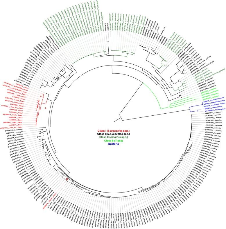 https://cdn.ncbi.nlm.nih.gov/pmc/blobs/dc8c/4687385/bacf1456bc75/12862_2015_561_Fig2_HTML.jpg
