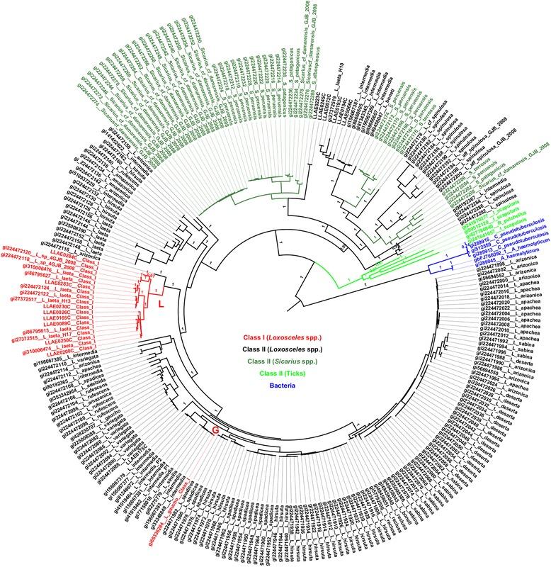 https://cdn.ncbi.nlm.nih.gov/pmc/blobs/dc8c/4687385/f6e76d561a0c/12862_2015_561_Fig3_HTML.jpg