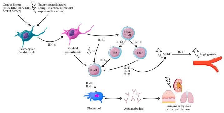 https://cdn.ncbi.nlm.nih.gov/pmc/blobs/dc8d/11312967/51feecd4eba3/jcm-13-04361-g003.jpg