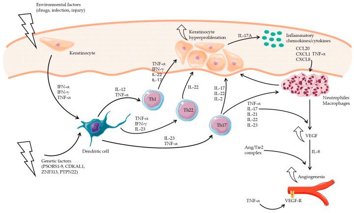 https://cdn.ncbi.nlm.nih.gov/pmc/blobs/dc8d/11312967/9863572d1fab/jcm-13-04361-g002.jpg