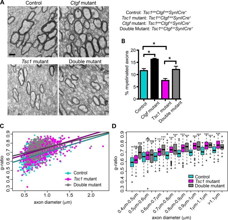 https://cdn.ncbi.nlm.nih.gov/pmc/blobs/dc8d/5339668/2f3b231e81ef/JEM_20160446_Fig9.jpg