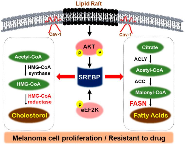 https://cdn.ncbi.nlm.nih.gov/pmc/blobs/dc8e/11205519/c18b960911da/metabolites-14-00309-g002.jpg