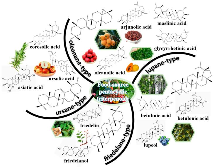 https://cdn.ncbi.nlm.nih.gov/pmc/blobs/dc8e/11275325/e58f820ff249/foods-13-02226-g001.jpg