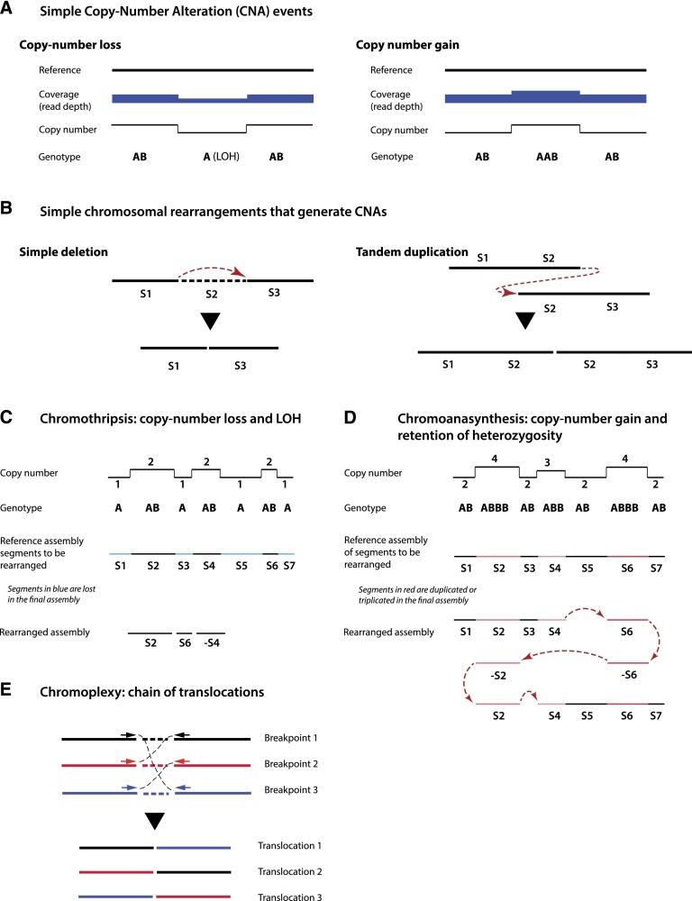 https://cdn.ncbi.nlm.nih.gov/pmc/blobs/dc90/3861665/63edf6b090d4/2513fig1.jpg