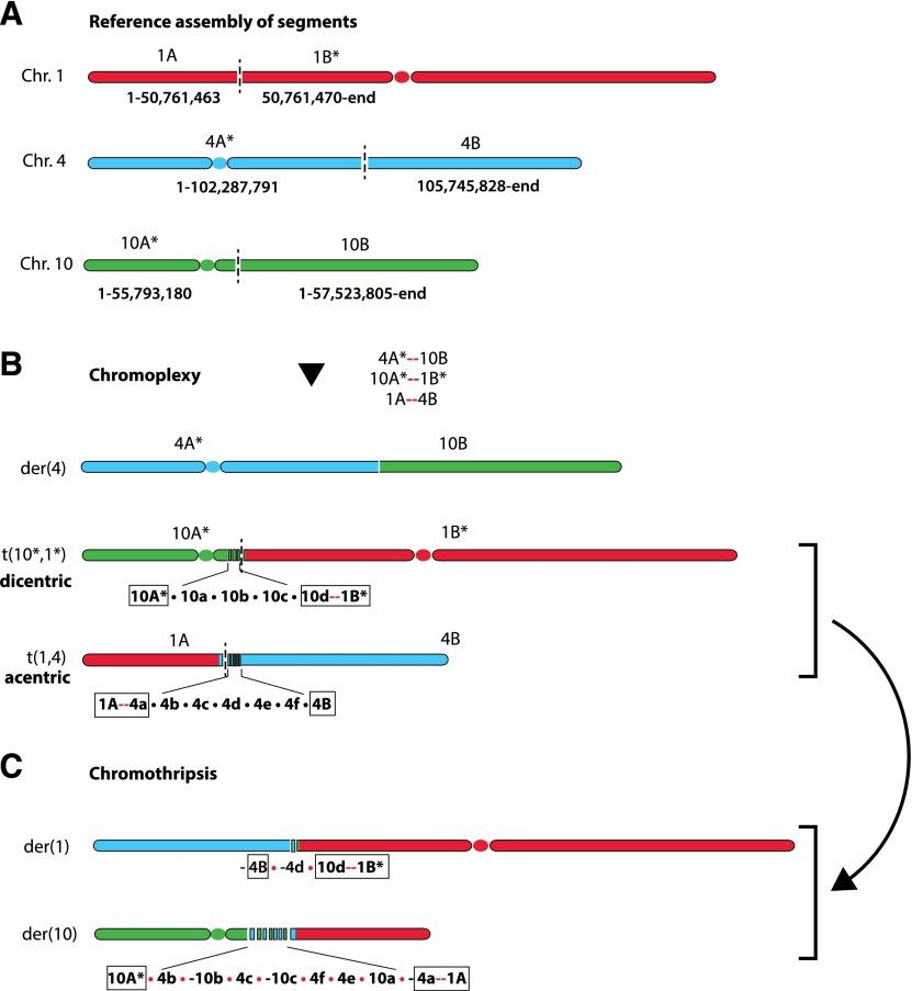 https://cdn.ncbi.nlm.nih.gov/pmc/blobs/dc90/3861665/f463f1991ab3/2513fig5.jpg
