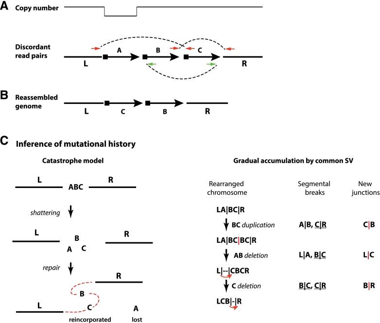 https://cdn.ncbi.nlm.nih.gov/pmc/blobs/dc90/3861665/f7285839ddf2/2513fig3.jpg