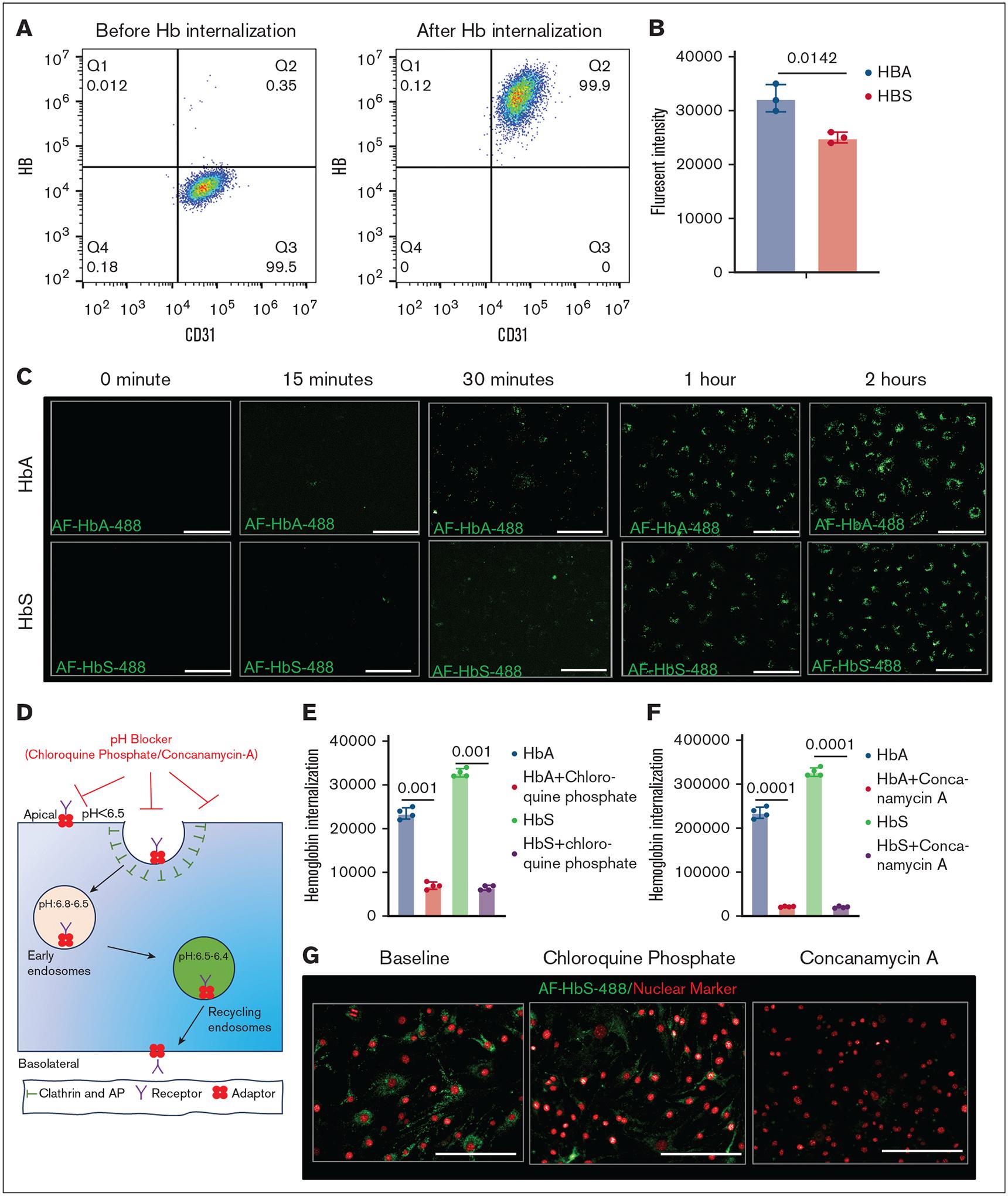 https://cdn.ncbi.nlm.nih.gov/pmc/blobs/dc91/12143466/00083147c814/nihms-2087008-f0001.jpg