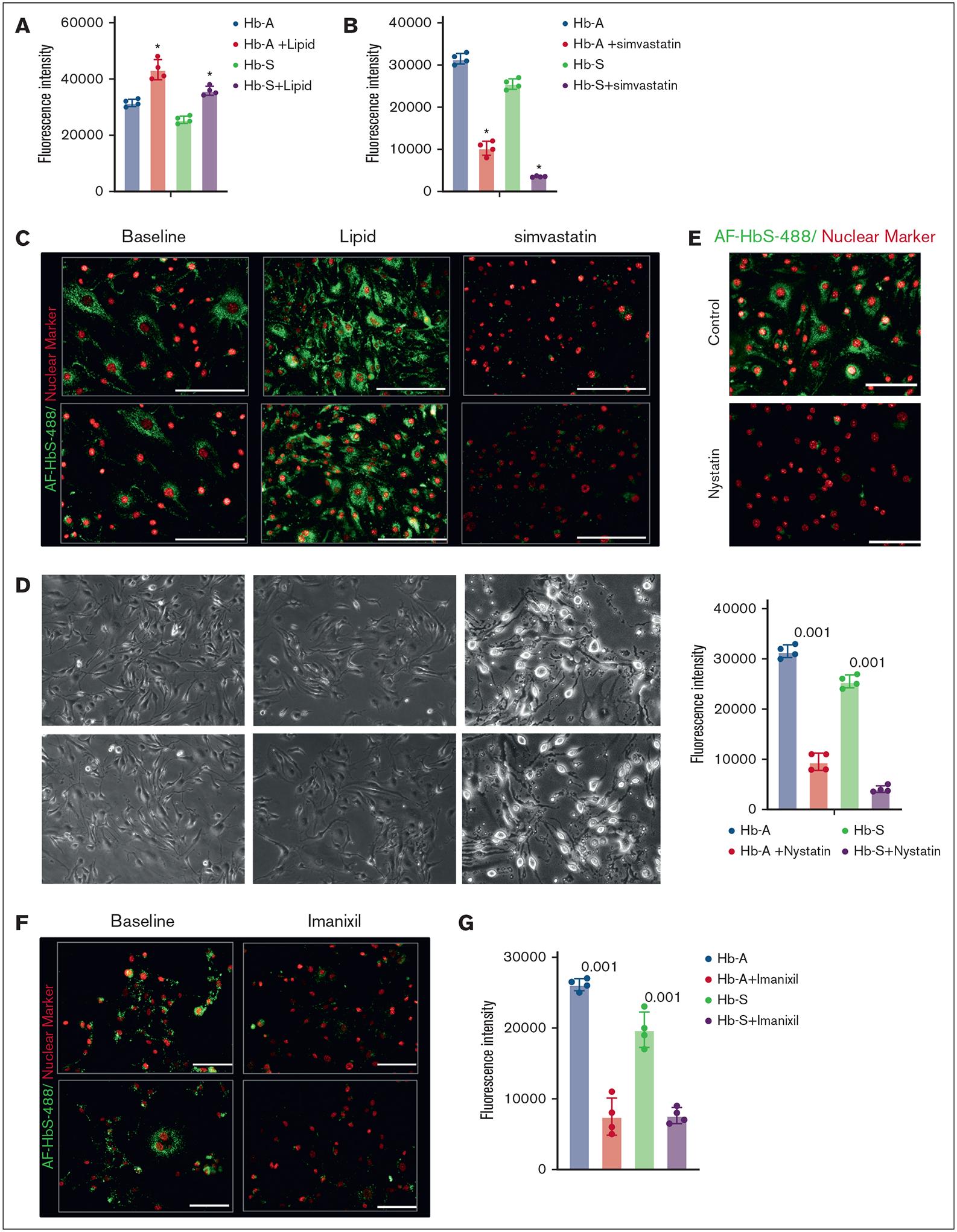 https://cdn.ncbi.nlm.nih.gov/pmc/blobs/dc91/12143466/999b04002990/nihms-2087008-f0005.jpg