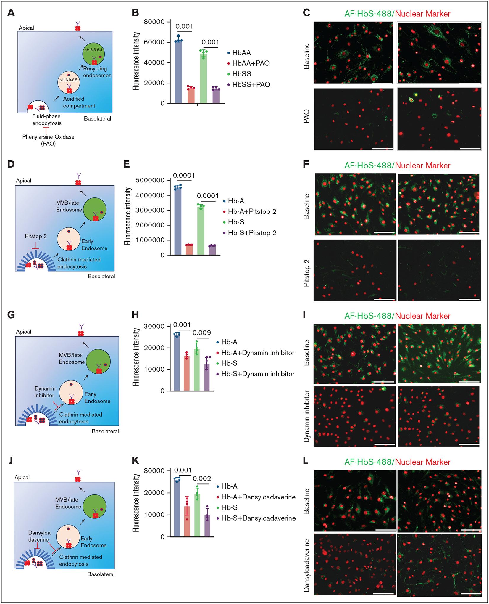 https://cdn.ncbi.nlm.nih.gov/pmc/blobs/dc91/12143466/daf74aa83621/nihms-2087008-f0002.jpg