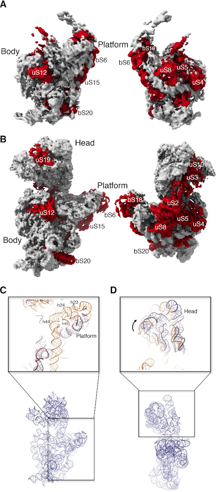 https://cdn.ncbi.nlm.nih.gov/pmc/blobs/dc93/6736133/e972582c321e/gkz571fig3.jpg