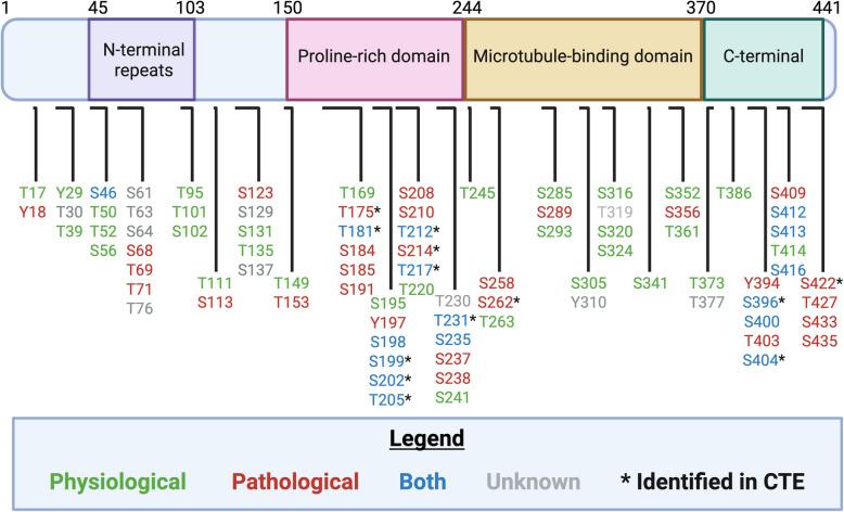 https://cdn.ncbi.nlm.nih.gov/pmc/blobs/dc94/12065185/8a499739851f/13024_2025_842_Fig2_HTML.jpg