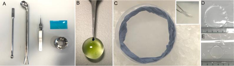 https://cdn.ncbi.nlm.nih.gov/pmc/blobs/dc95/10502176/9b6e43e89e39/BioProtoc-13-17-4792-g002.jpg