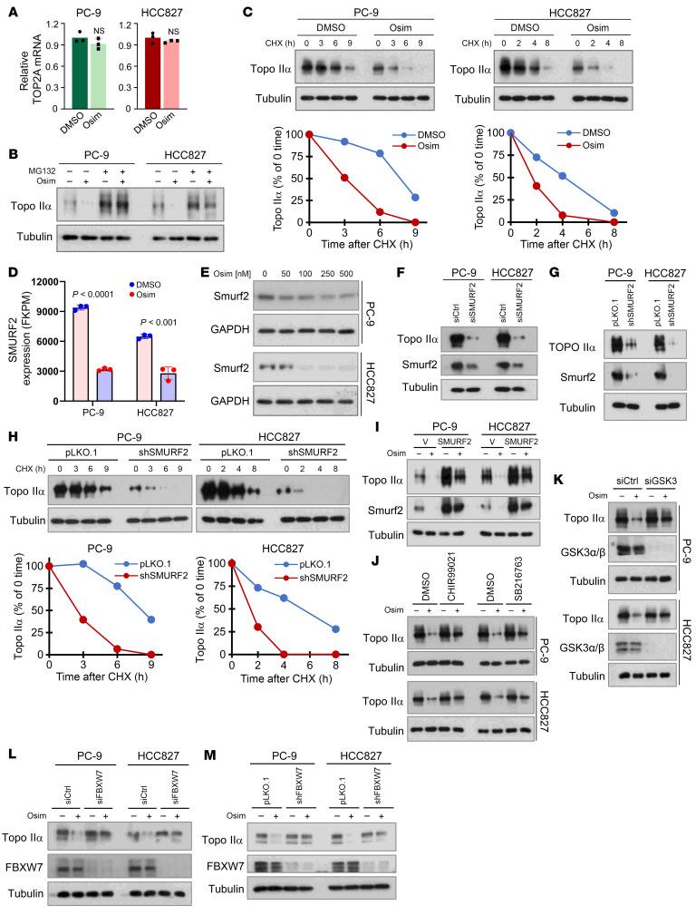 https://cdn.ncbi.nlm.nih.gov/pmc/blobs/dc96/11093598/c262d6cfbe5b/jci-134-172716-g101.jpg