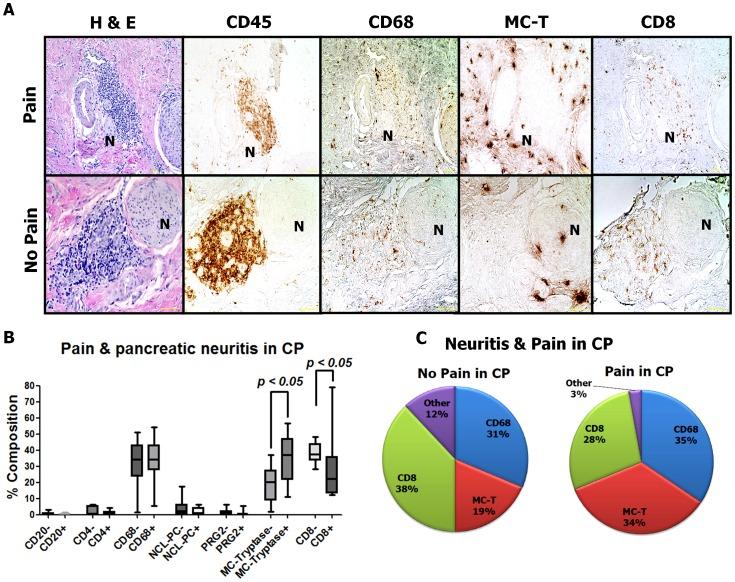 https://cdn.ncbi.nlm.nih.gov/pmc/blobs/dc96/3610867/41113da83092/pone.0060529.g004.jpg