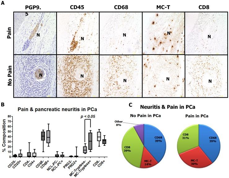 https://cdn.ncbi.nlm.nih.gov/pmc/blobs/dc96/3610867/949ec1e27e5b/pone.0060529.g003.jpg