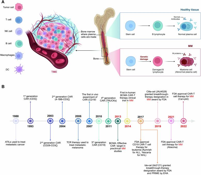 https://cdn.ncbi.nlm.nih.gov/pmc/blobs/dc98/11514856/44a4ab81529d/40164_2024_576_Fig1_HTML.jpg