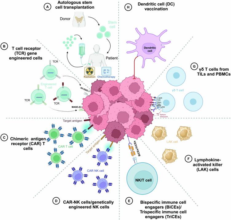 https://cdn.ncbi.nlm.nih.gov/pmc/blobs/dc98/11514856/fd8e68cf1c59/40164_2024_576_Fig2_HTML.jpg