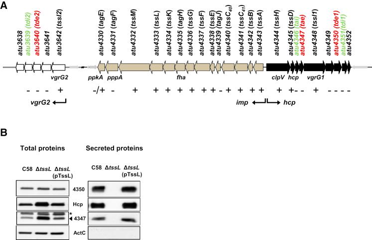 https://cdn.ncbi.nlm.nih.gov/pmc/blobs/dc9a/4096383/e1efa8a22ff8/gr1.jpg