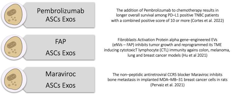 https://cdn.ncbi.nlm.nih.gov/pmc/blobs/dc9b/11011929/c649916cf542/cells-13-00614-g005.jpg