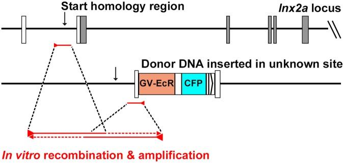 https://cdn.ncbi.nlm.nih.gov/pmc/blobs/dc9c/5375128/92495bd84025/pone.0172802.g006.jpg