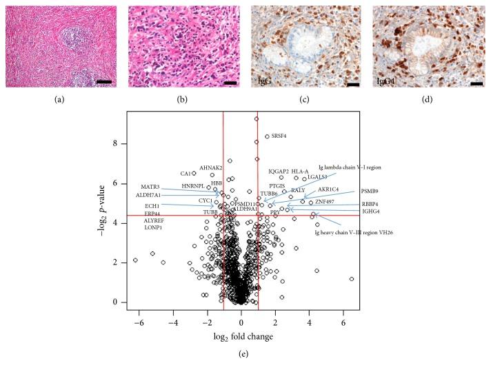 https://cdn.ncbi.nlm.nih.gov/pmc/blobs/dc9d/5448067/c8dc49a091b6/PRI2017-9312142.001.jpg