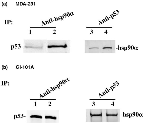 https://cdn.ncbi.nlm.nih.gov/pmc/blobs/dc9e/1242148/c5a1cea4de60/bcr1290-4.jpg