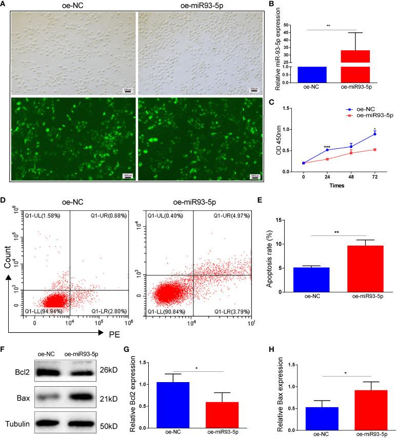 https://cdn.ncbi.nlm.nih.gov/pmc/blobs/dc9f/9626535/43b809bfb004/fimmu-13-967151-g002.jpg