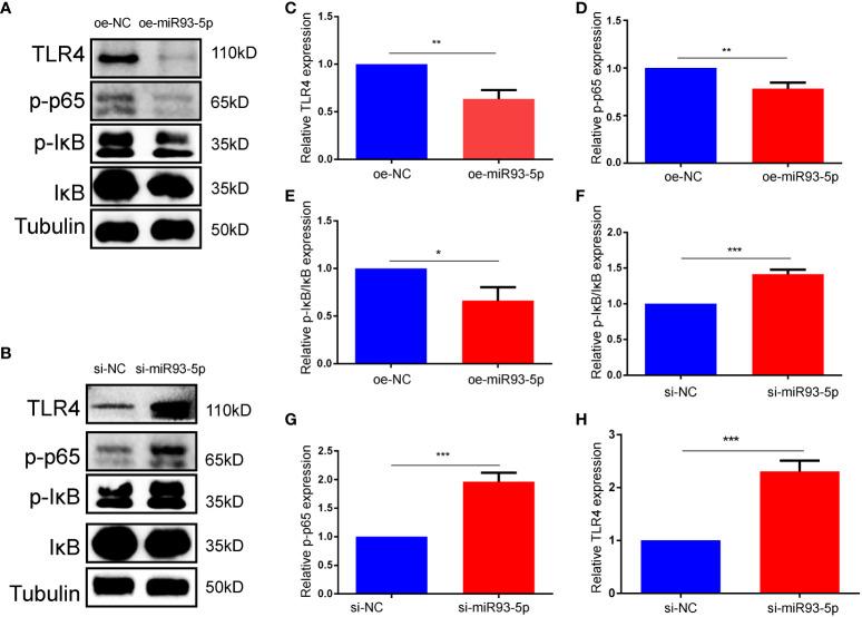 https://cdn.ncbi.nlm.nih.gov/pmc/blobs/dc9f/9626535/d4962ea292f6/fimmu-13-967151-g007.jpg
