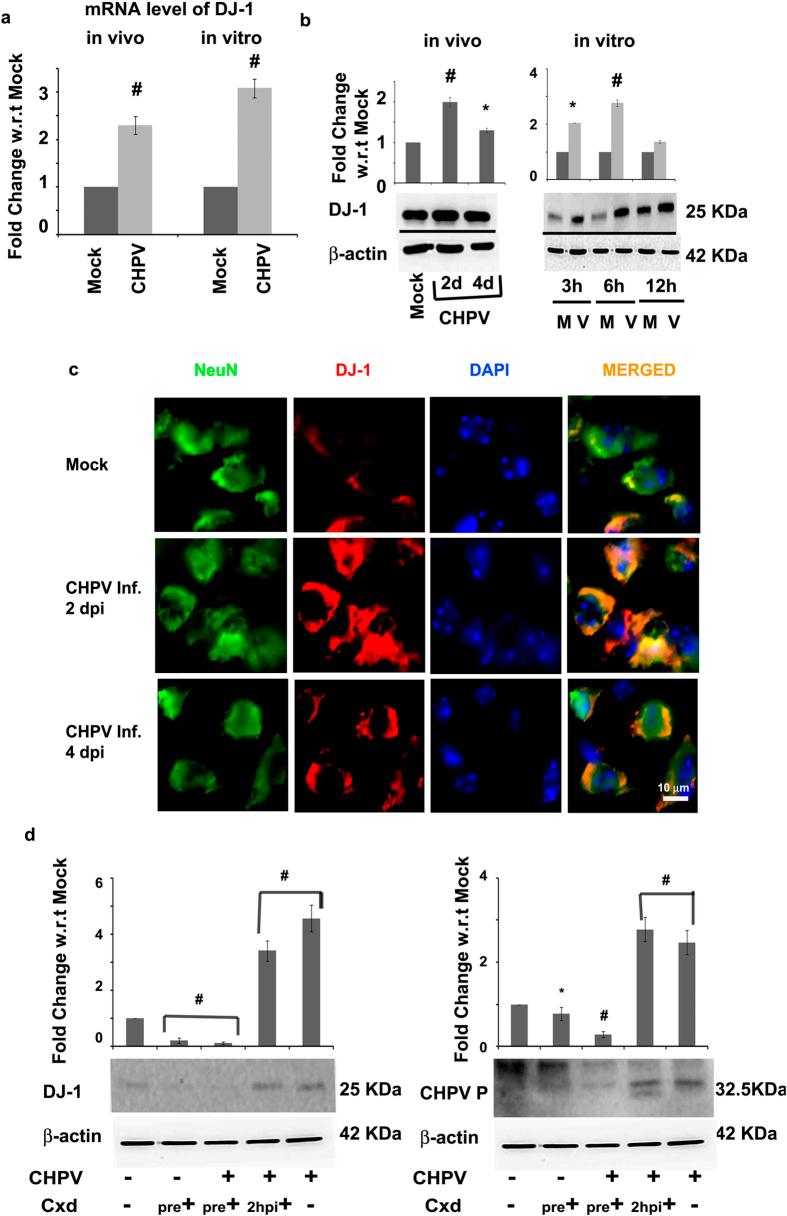 https://cdn.ncbi.nlm.nih.gov/pmc/blobs/dca0/5007645/46a030a71772/srep32593-f2.jpg
