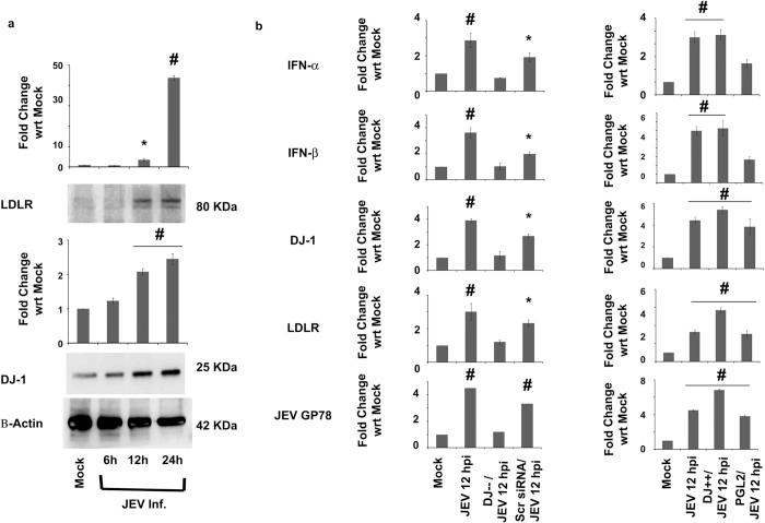 https://cdn.ncbi.nlm.nih.gov/pmc/blobs/dca0/5007645/ab9c4655c440/srep32593-f8.jpg