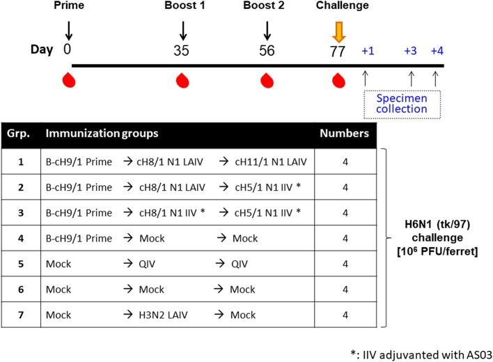 https://cdn.ncbi.nlm.nih.gov/pmc/blobs/dca1/6499175/d00edbb53dda/fimmu-10-00756-g0006.jpg