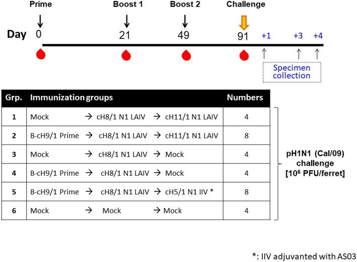 https://cdn.ncbi.nlm.nih.gov/pmc/blobs/dca1/6499175/e52b728782b4/fimmu-10-00756-g0001.jpg