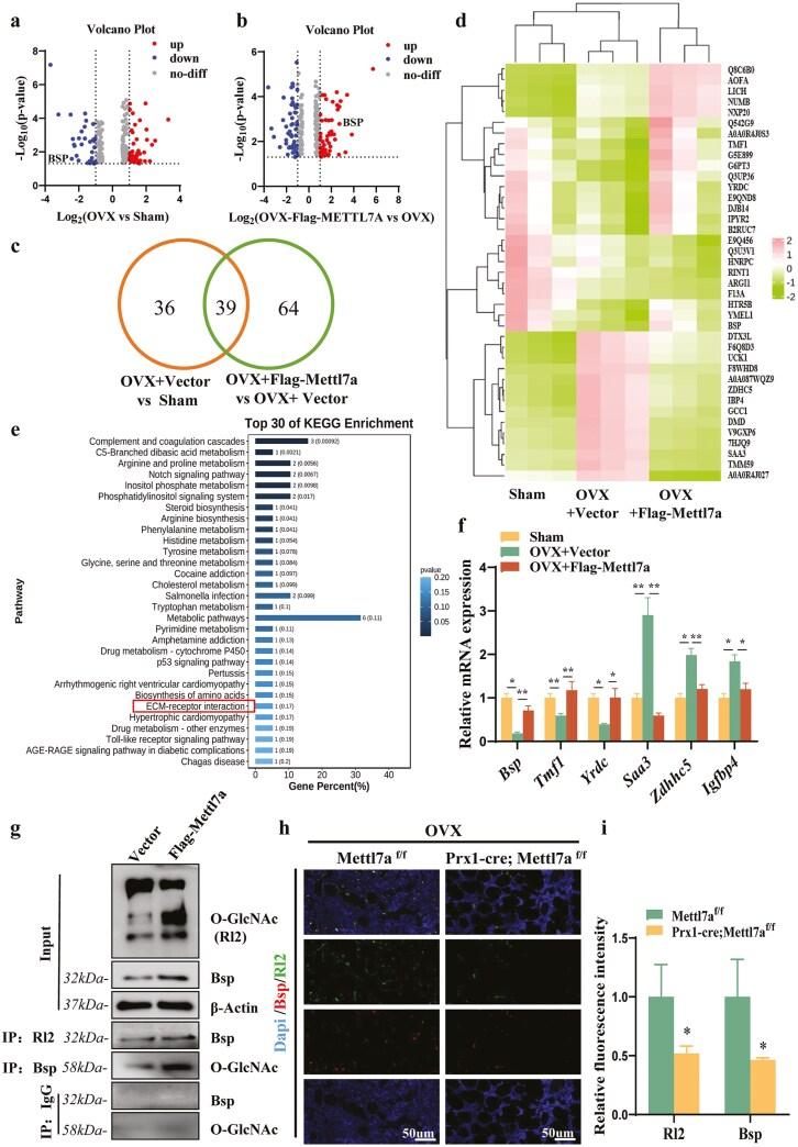 https://cdn.ncbi.nlm.nih.gov/pmc/blobs/dca3/12188527/07114f8fe287/szaf024_fig3.jpg