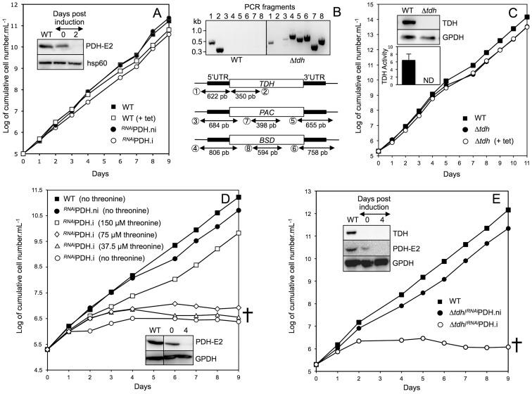 https://cdn.ncbi.nlm.nih.gov/pmc/blobs/dca3/3868518/b427fd1375de/pntd.0002587.g006.jpg