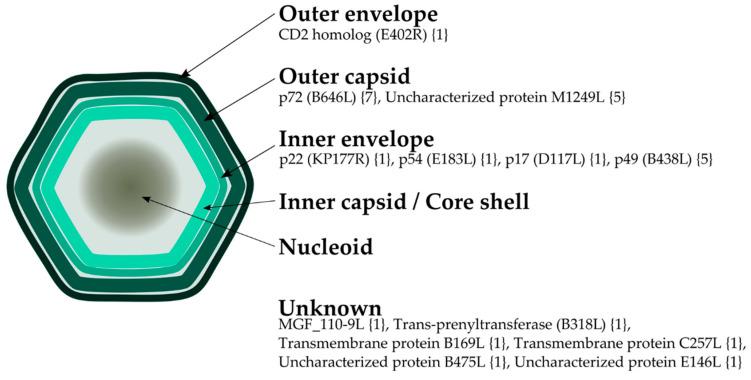 https://cdn.ncbi.nlm.nih.gov/pmc/blobs/dca3/7767518/1e470ca5aab7/pathogens-09-01078-g001.jpg