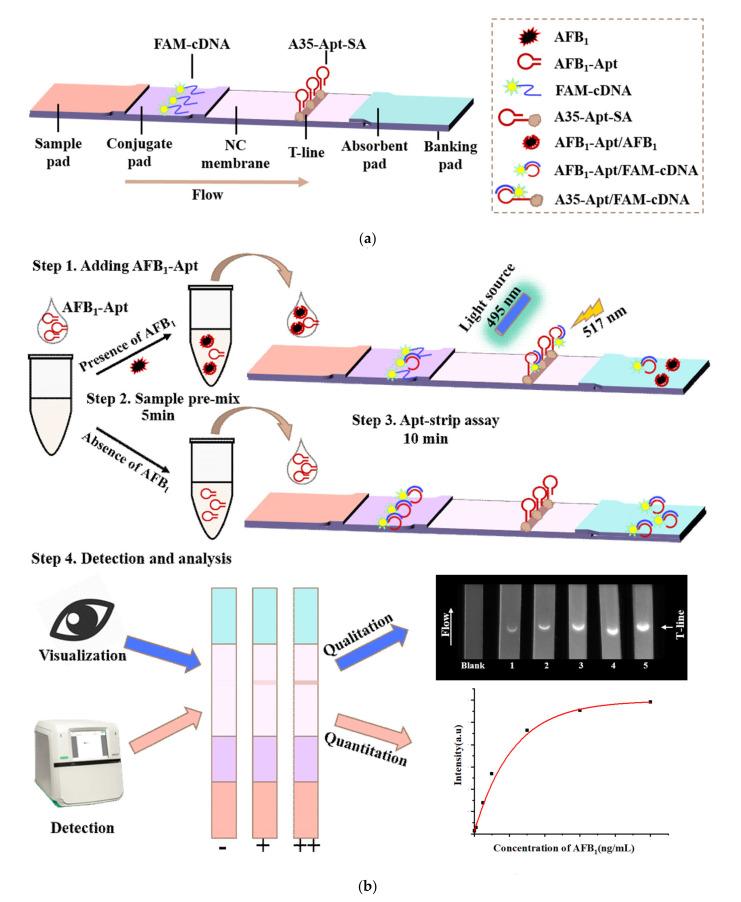 https://cdn.ncbi.nlm.nih.gov/pmc/blobs/dca3/9370625/57ea5b029c9a/molecules-27-04949-sch001.jpg