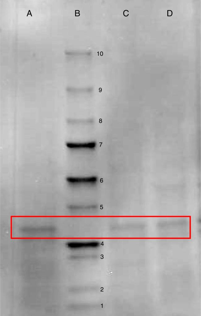 https://cdn.ncbi.nlm.nih.gov/pmc/blobs/dca4/5498413/0bc488292dc5/gr4.jpg