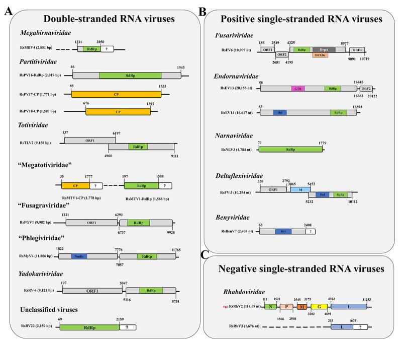 https://cdn.ncbi.nlm.nih.gov/pmc/blobs/dca5/12439578/7c44a1429ccf/KVIR_A_2546683_F0006_OC.jpg