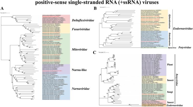 https://cdn.ncbi.nlm.nih.gov/pmc/blobs/dca5/12439578/858cca733c04/KVIR_A_2546683_F0004_OC.jpg